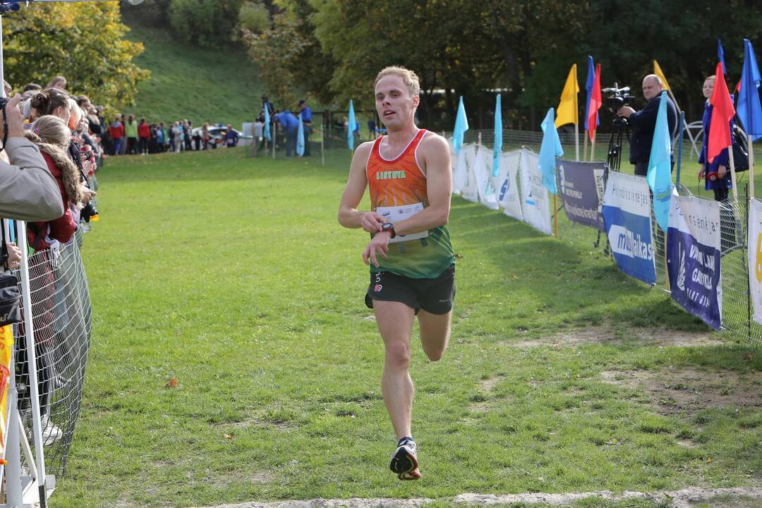 Gintarinė jurmilė