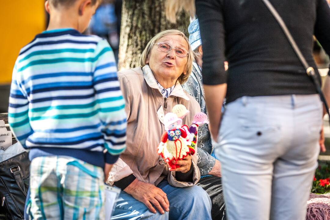 Rudens gėrybių mugė Laisvės alėjoje