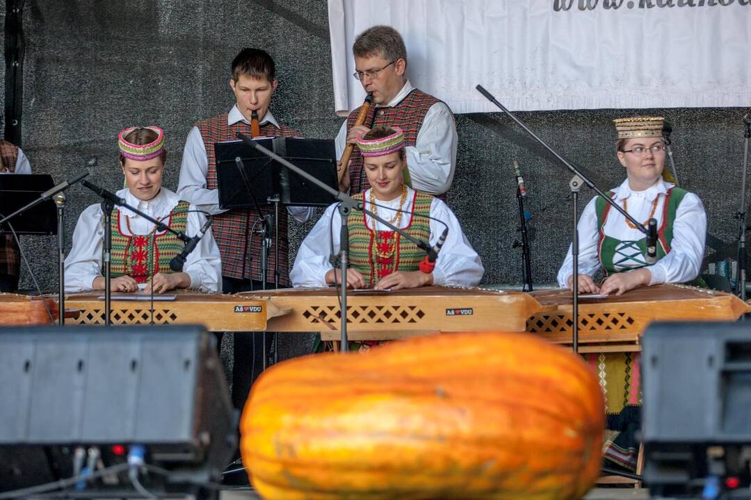 Festivalio "Baltic amber 2014" akimirkos