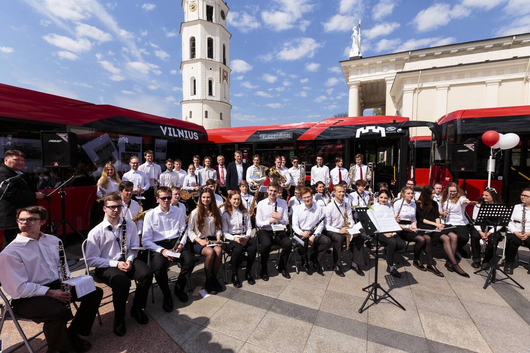 Vilniaus Katedros aikštėje – raudonų autobusų labirintas