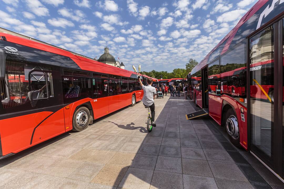 Vilniaus Katedros aikštėje – raudonų autobusų labirintas