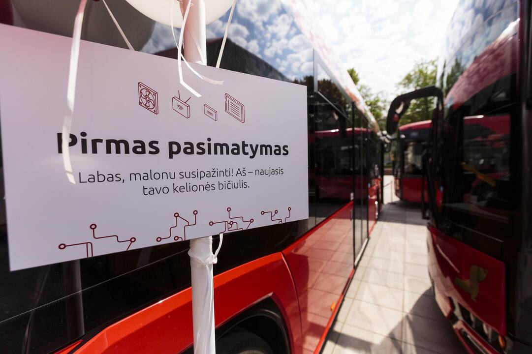 Vilniaus Katedros aikštėje – raudonų autobusų labirintas