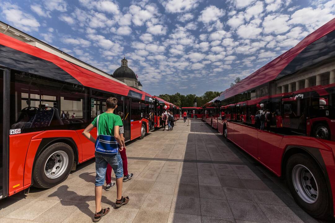 Vilniaus Katedros aikštėje – raudonų autobusų labirintas