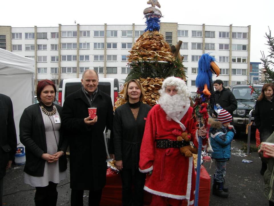 Trijų metrų žagarėlių eglutė