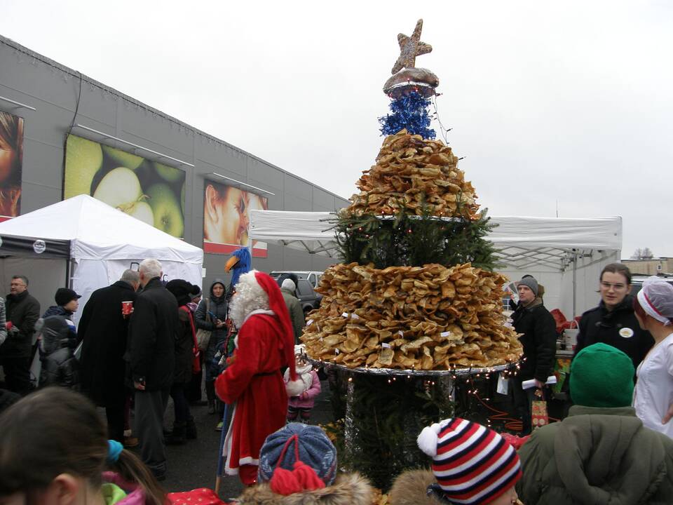 Trijų metrų žagarėlių eglutė