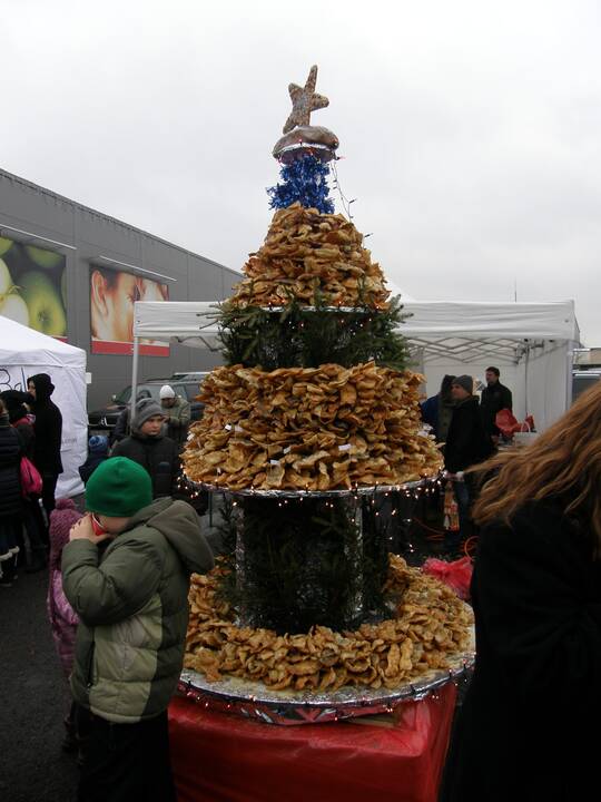 Trijų metrų žagarėlių eglutė