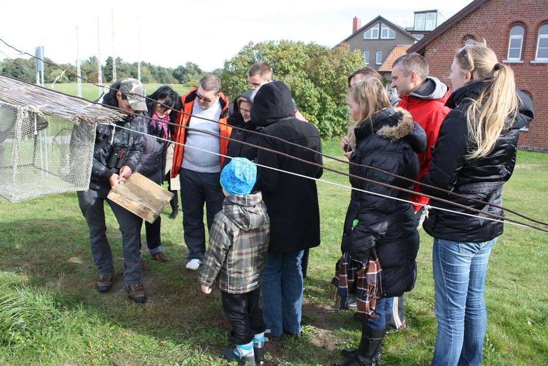 Palydos Baltojoje Vokėje