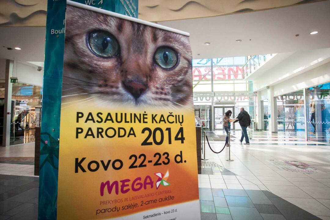 Prekybos centre "Mega" vyksta pasaulinė kačių paroda