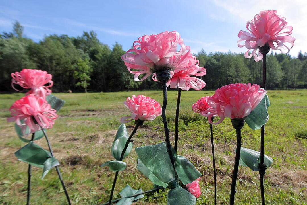 Paukščių festivalis Kaišiadoryse