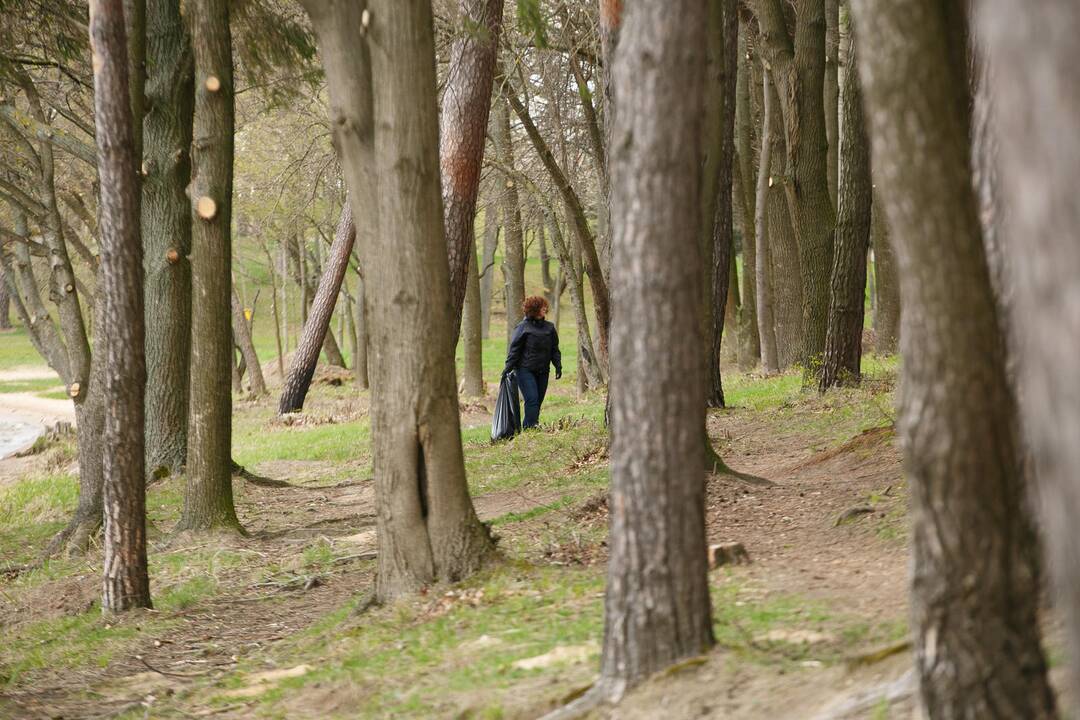 Kariškiai ir policininkai tvarkė Pažaislio aplinką