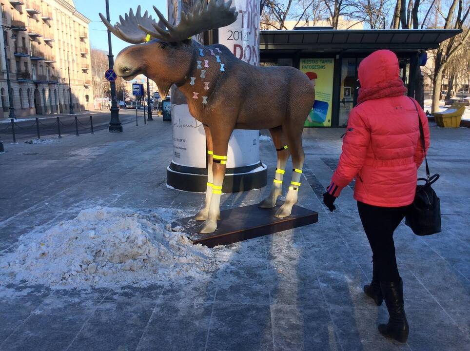 Pavyzdingas briedis dėvi atšvaitus