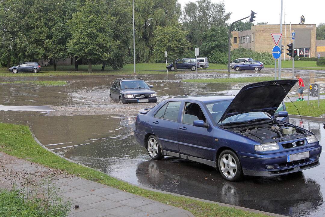 Skęstantys po liūties Kalniečiai