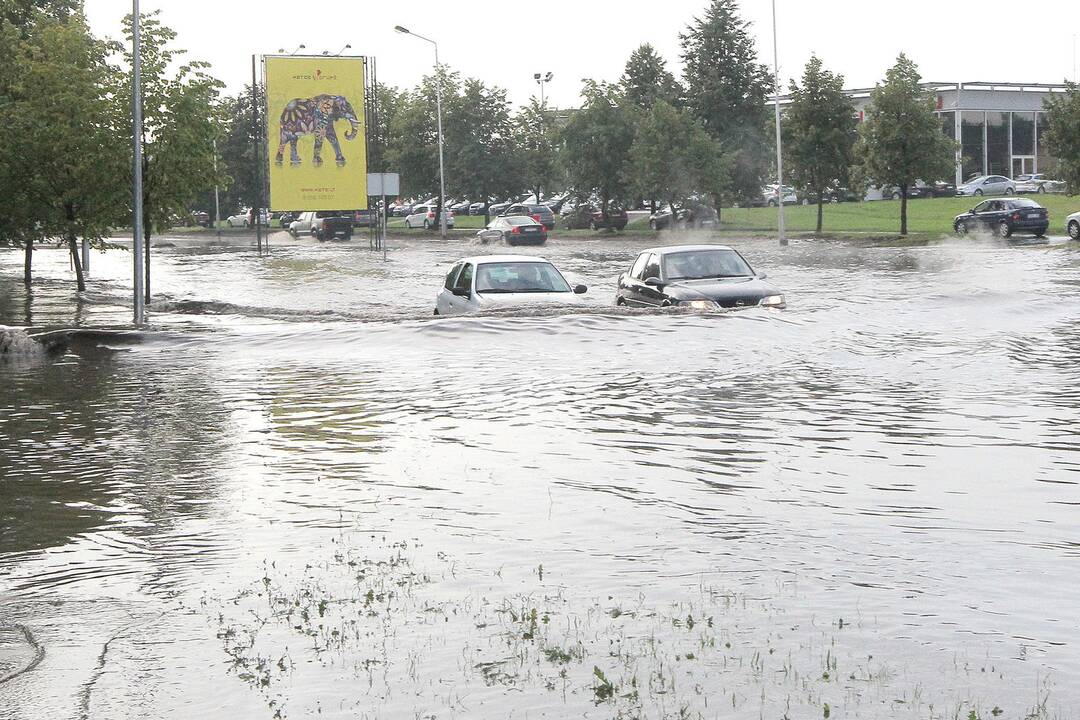 Skęstantys po liūties Kalniečiai