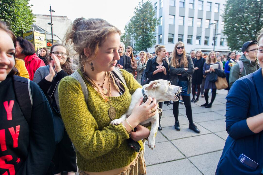 Prasidėjo Kauno bienalė