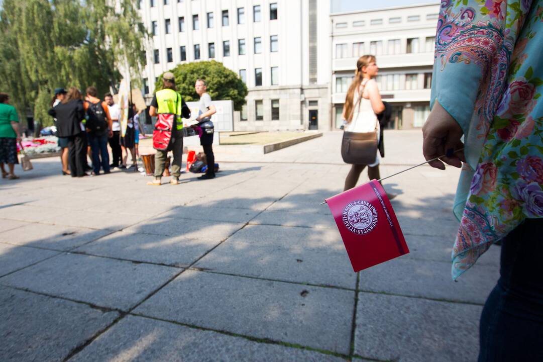 Protesto akcija Laisvės alėjoje