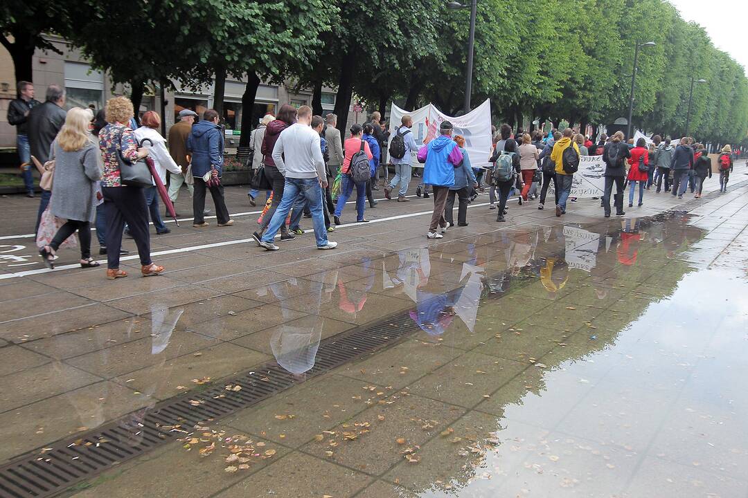 Protestivalio dalyviai okupuoja Miesto sodą