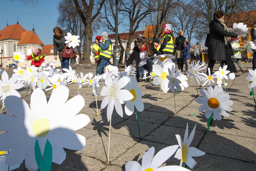 Ramunių rekordas tuberkuliozės dienai paminėti