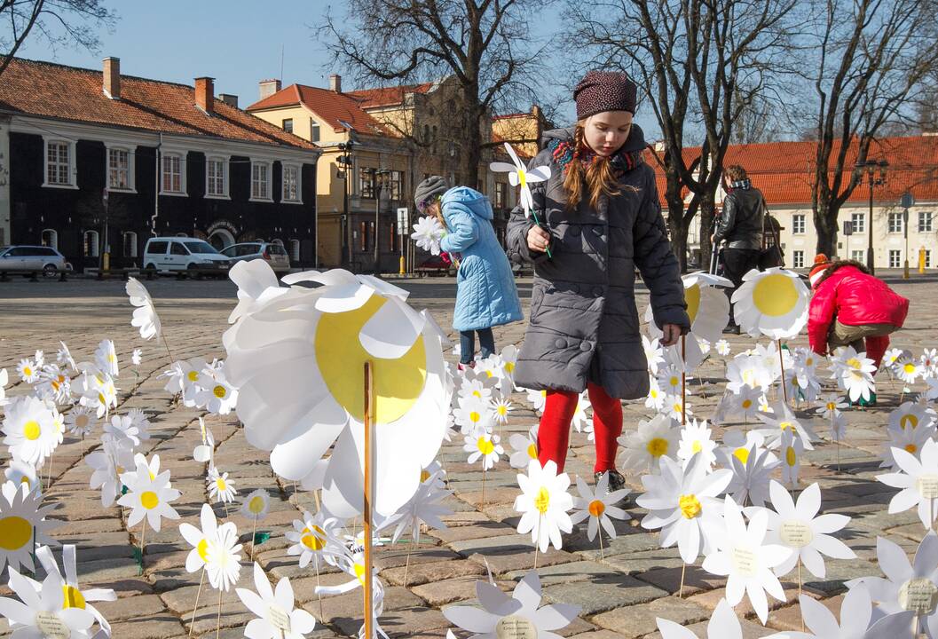 Ramunių rekordas tuberkuliozės dienai paminėti