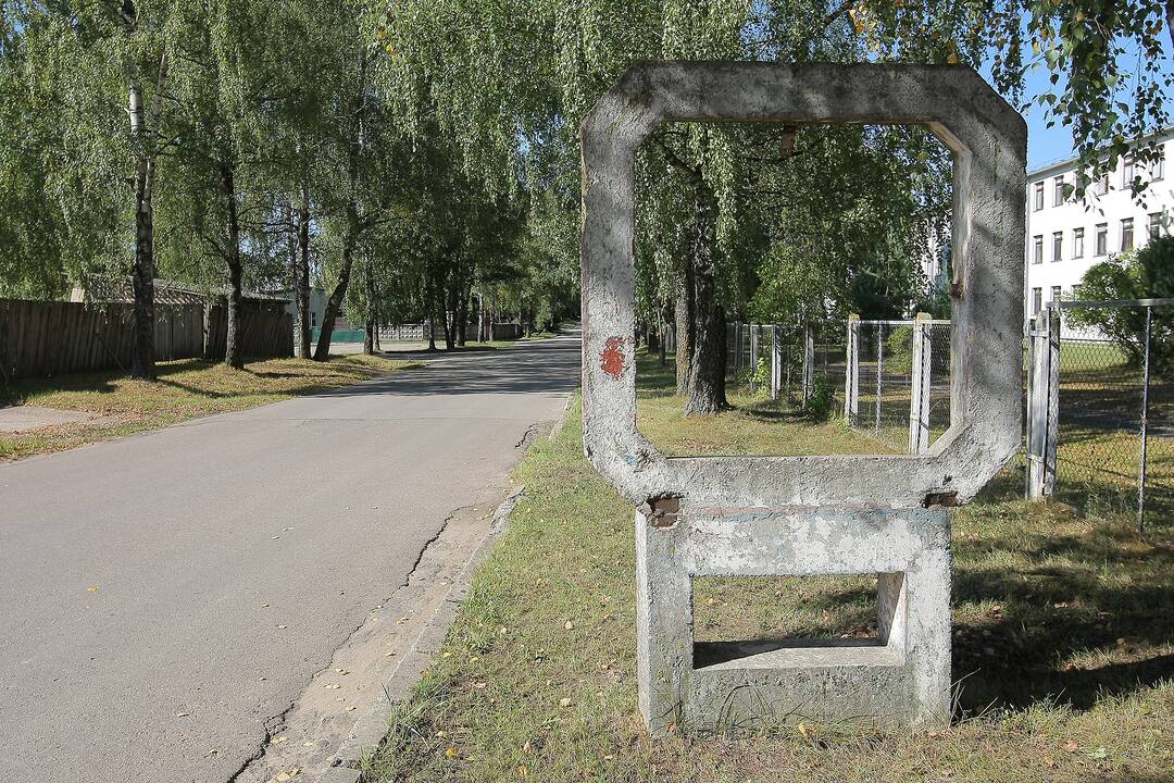 Rukloje daugiau problemų kyla ne dėl pabėgėlių, o dėl vetinio jaunimo.