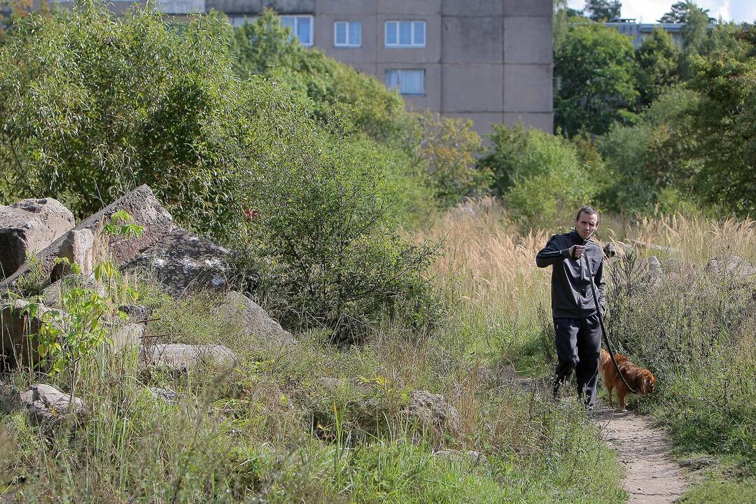 Rukloje daugiau problemų kyla ne dėl pabėgėlių, o dėl vetinio jaunimo.