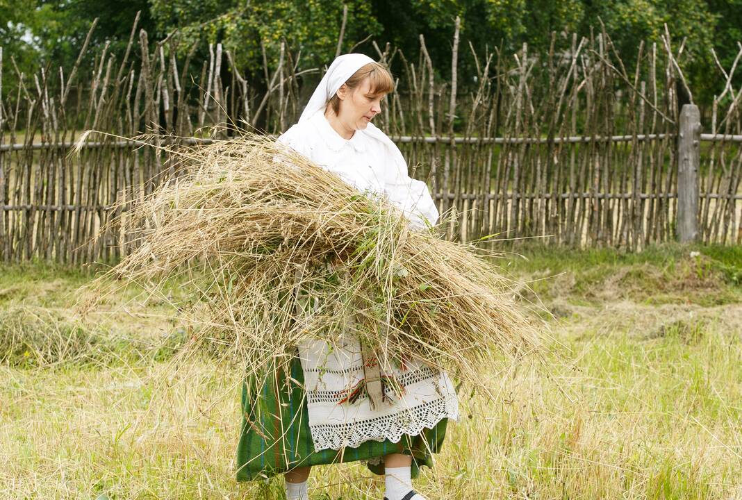 Naujo derliaus ir Onų vardinės Rumšiškėse