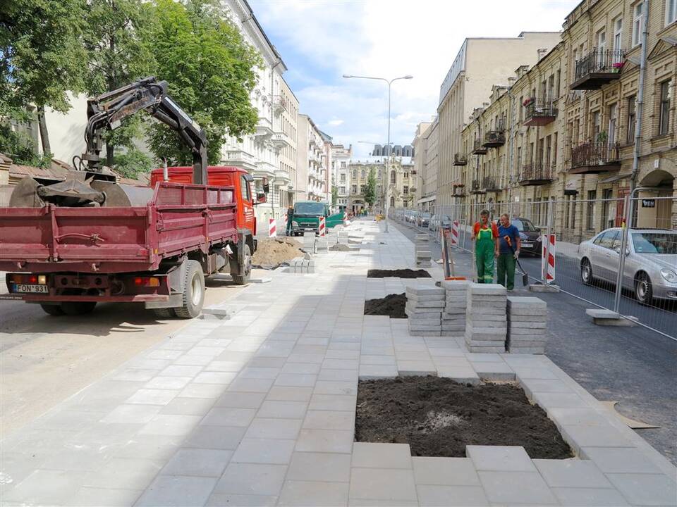 Šermukšnių gatvėje ruošiamasi šermukšnių sodinimui