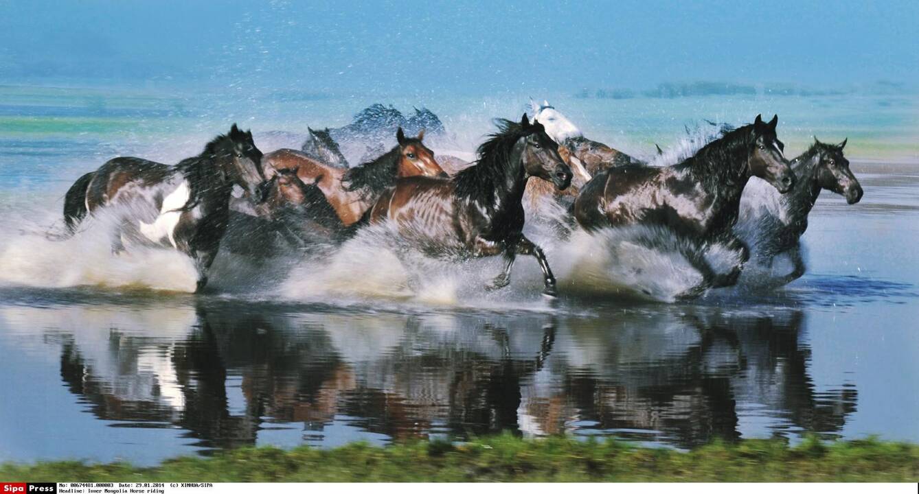 Žirgo metų simbolio fotosesija Mongolijos stepėse