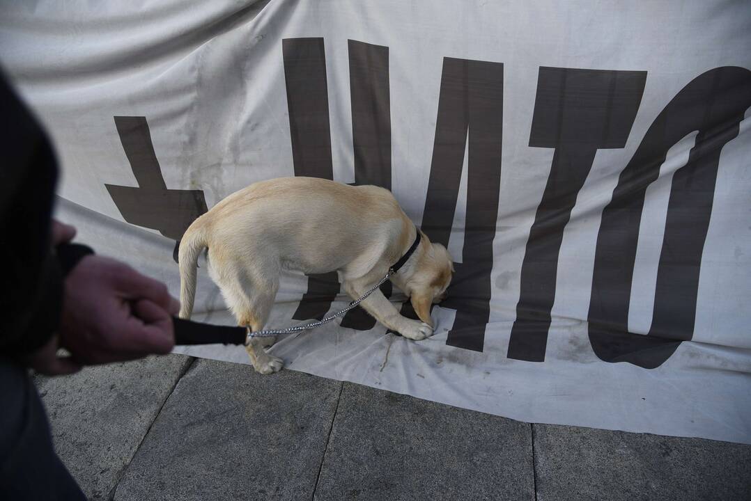 Protestai Serbijoje