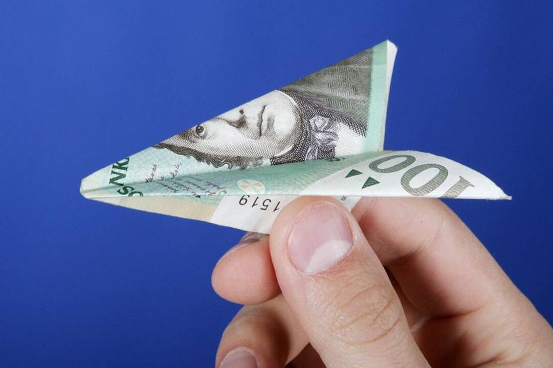 VAE šiemet neteisėtai įsigijo paslaugų už 30 mln. litų
