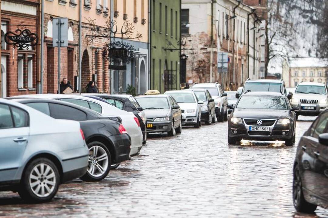 U.Skonsmanaitė pelnė metų „Jaunos Žavios Veiklios“ titulą