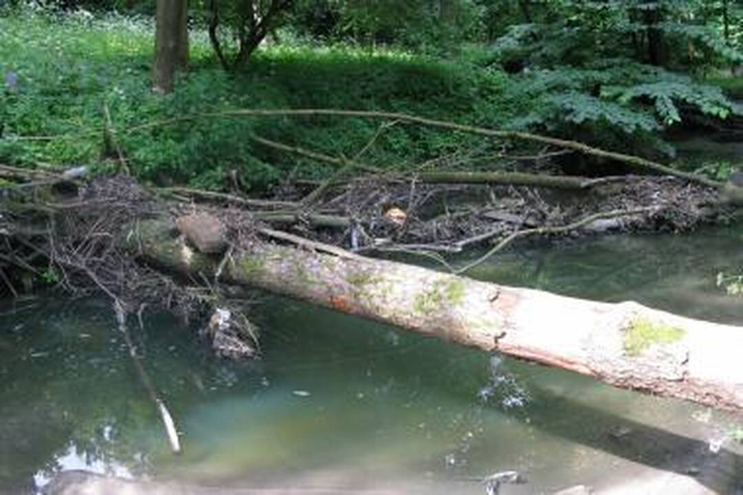 A.Mickevičiaus slėnyje - kaip kokiame „Tvin Pykse“