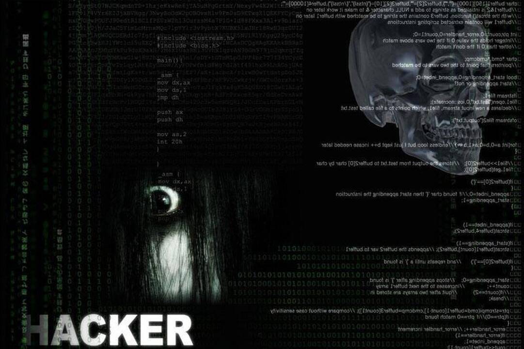 Pakistano kibernetinė armija atakavo Indijos interneto svetaines