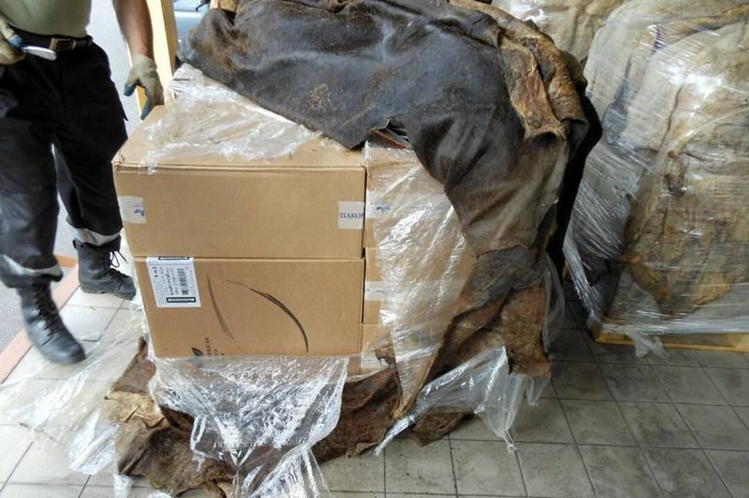Po galvijų odomis rusas slėpė 300 tūkst. litų vertės cigaretes