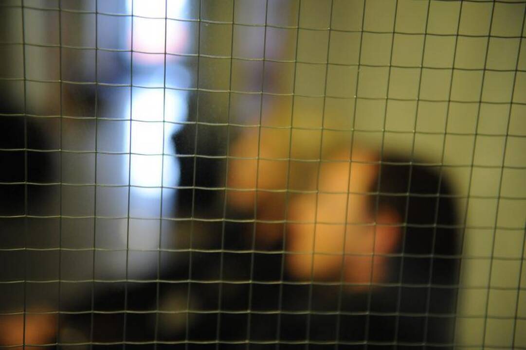 Tinai ir Mino teisme susitaikyti nepavyko: areštuotas Tinos turtas
