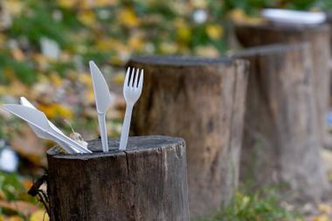 Sugėrovei šakute sužeidė akį