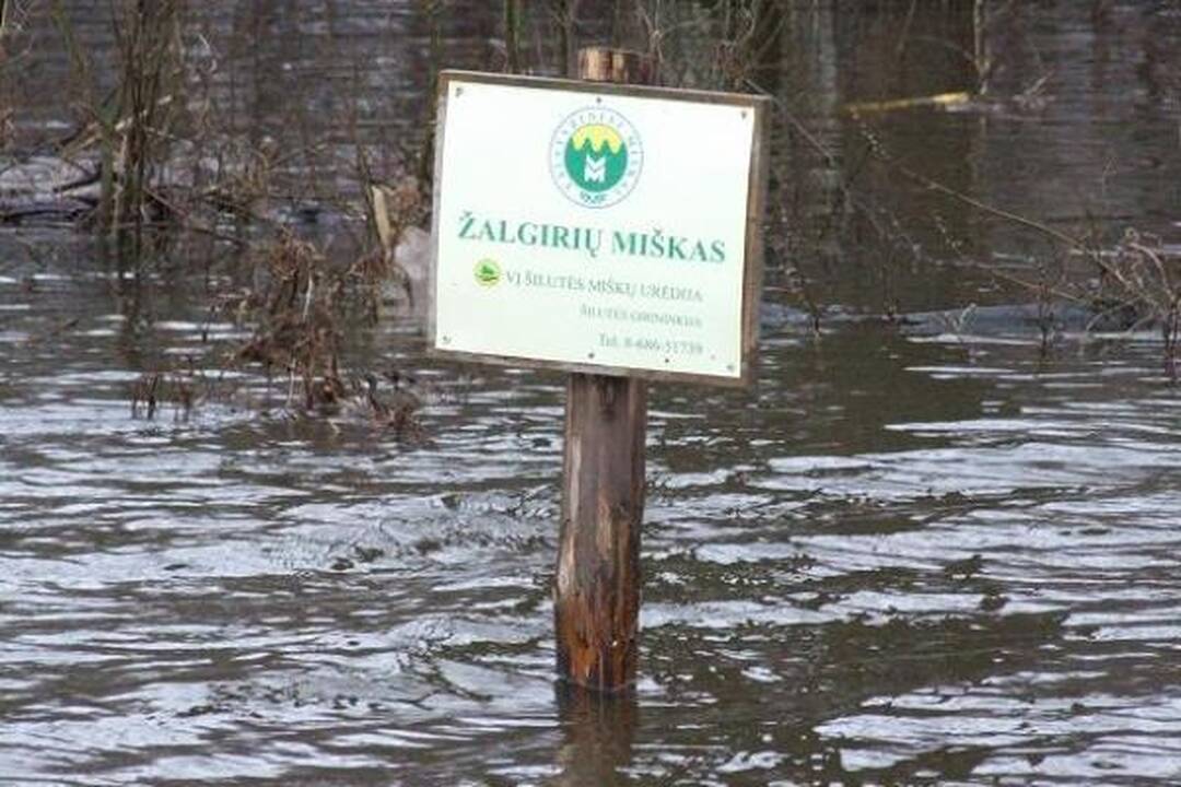 Pamaryje daugėja apsemtų sodybų 