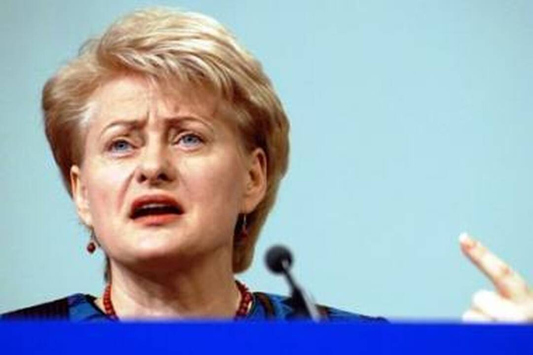 D.Grybauskaitė: antikrizinis planas yra „per švelnus“