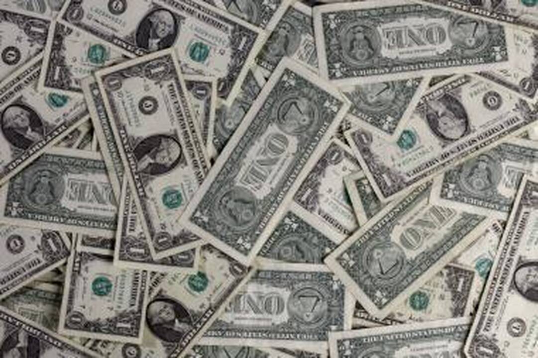 Vyriausybė doleriais skolinsis pusantro milijardo (papildyta) 