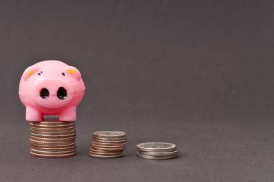Valstybės kontrolė: skolintas lėšas investuoti galima pelningiau