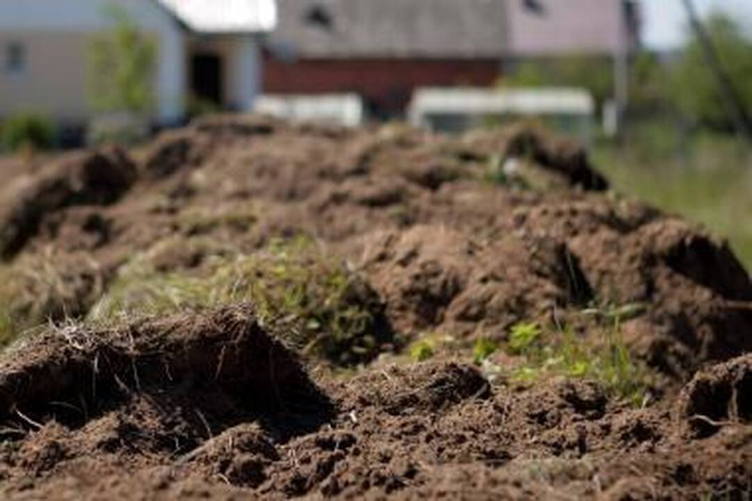Dumblo įrenginiams diegti - 202 mln. litų