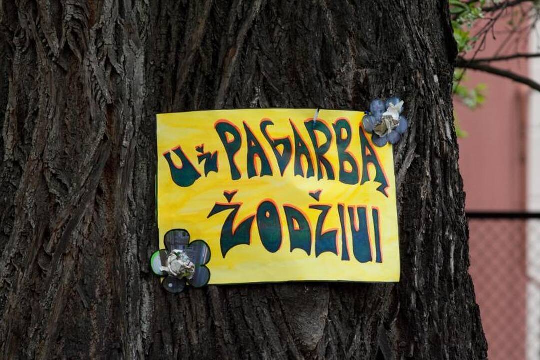 Lituanistikos plėtros komisijos posėdyje nuspręsta imtis veiksmų
