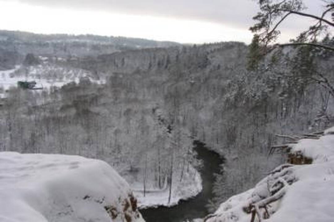 Verkių parke – kalendorinės žiemos palydos
