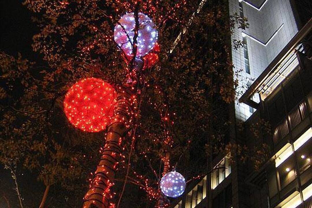 Taivane vilniečiui stinga kalėdinio šurmulio