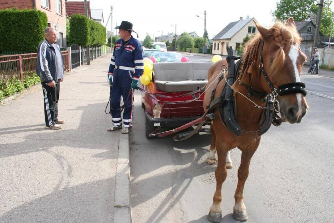 Po Klaipėdos senamiestį – kelionės karieta
