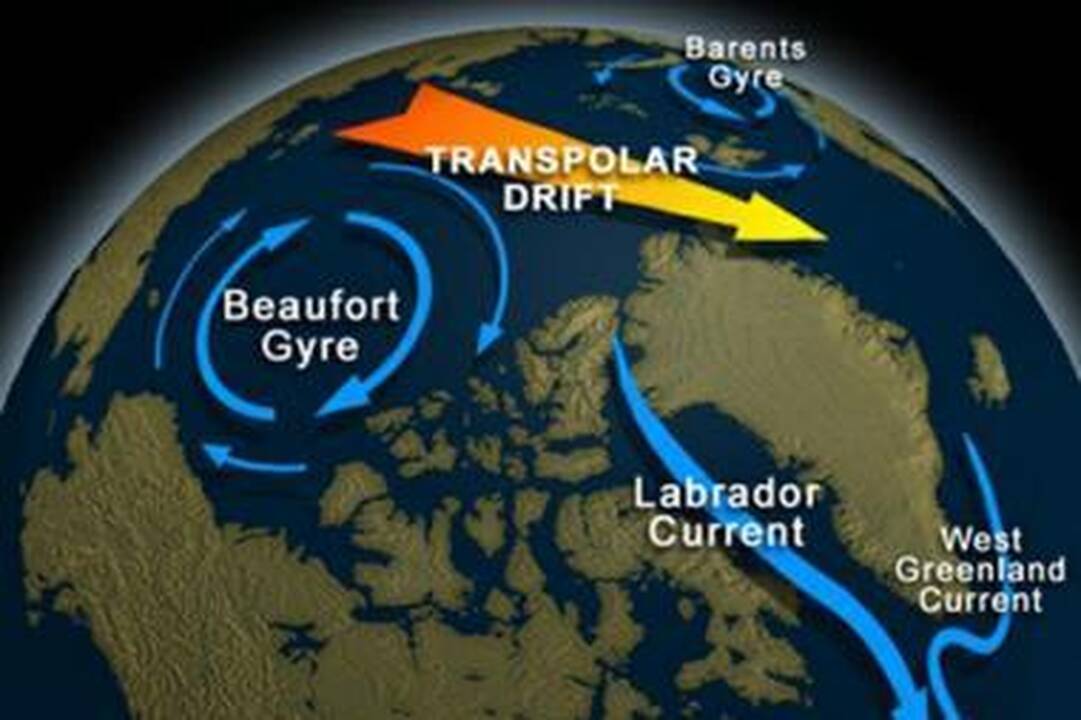 Ledinis vanduo iš Arkties gali gerokai atvėsinti Europos klimatą