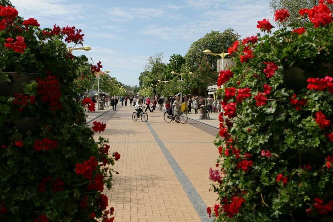 Sulaikytas nelegalia veikla įtariamas Palangos verslininkas