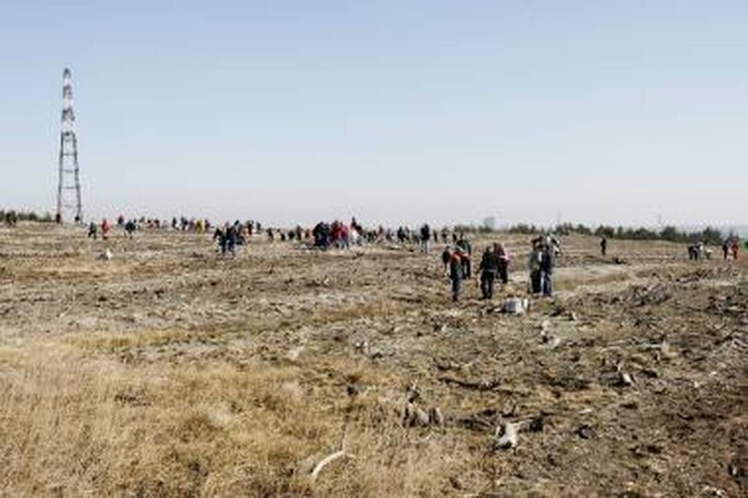 Medelių sodinimo akcija Kuršių nerijoje 