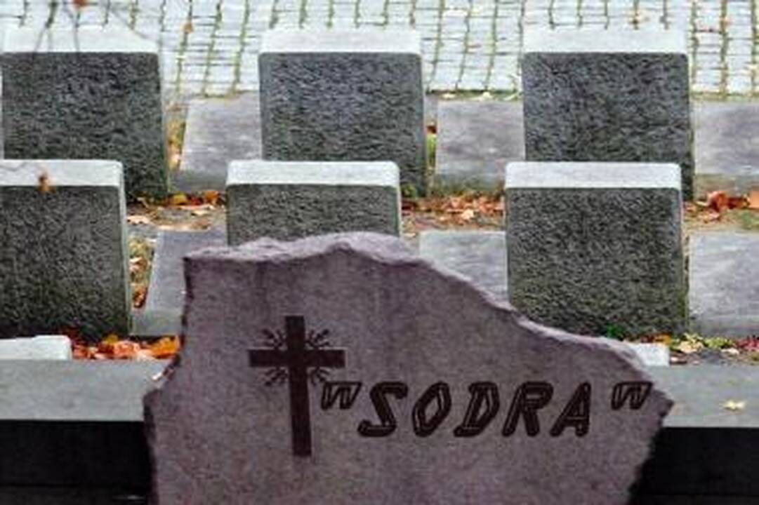 "Sodros" ligas siūlo gydyti darbu