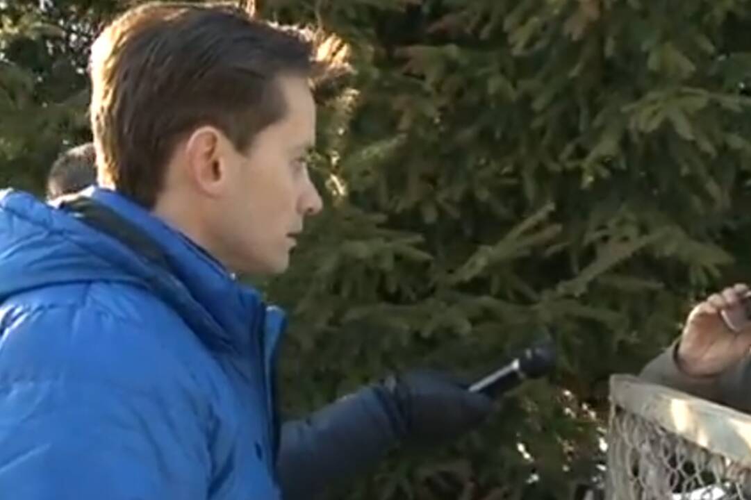 JDJ: laisvę iš mūsų pavogė (papildyta)