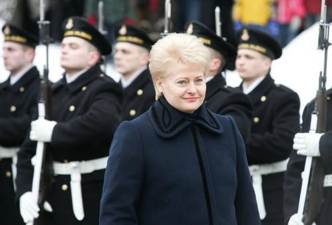 Prezidentė: per daug energetikos finansavimo užkrauta ant vartotojų